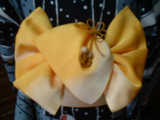 半幅帯：写真集