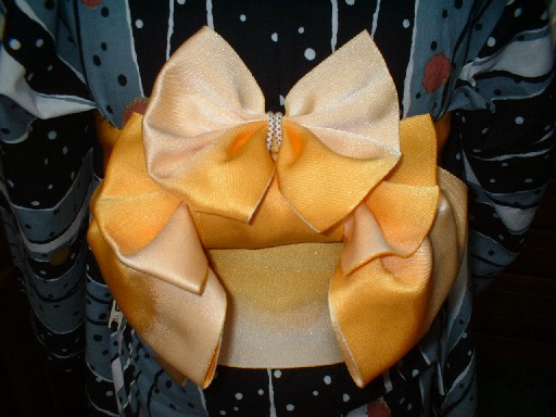 半幅帯：写真集