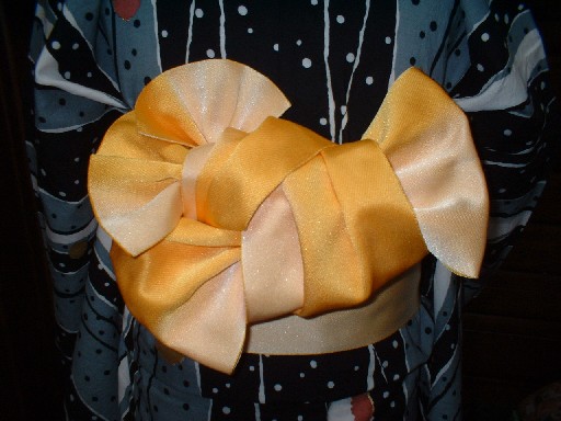 半幅帯：写真集