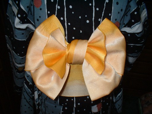 半幅帯：写真集