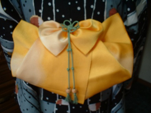 半幅帯：写真集